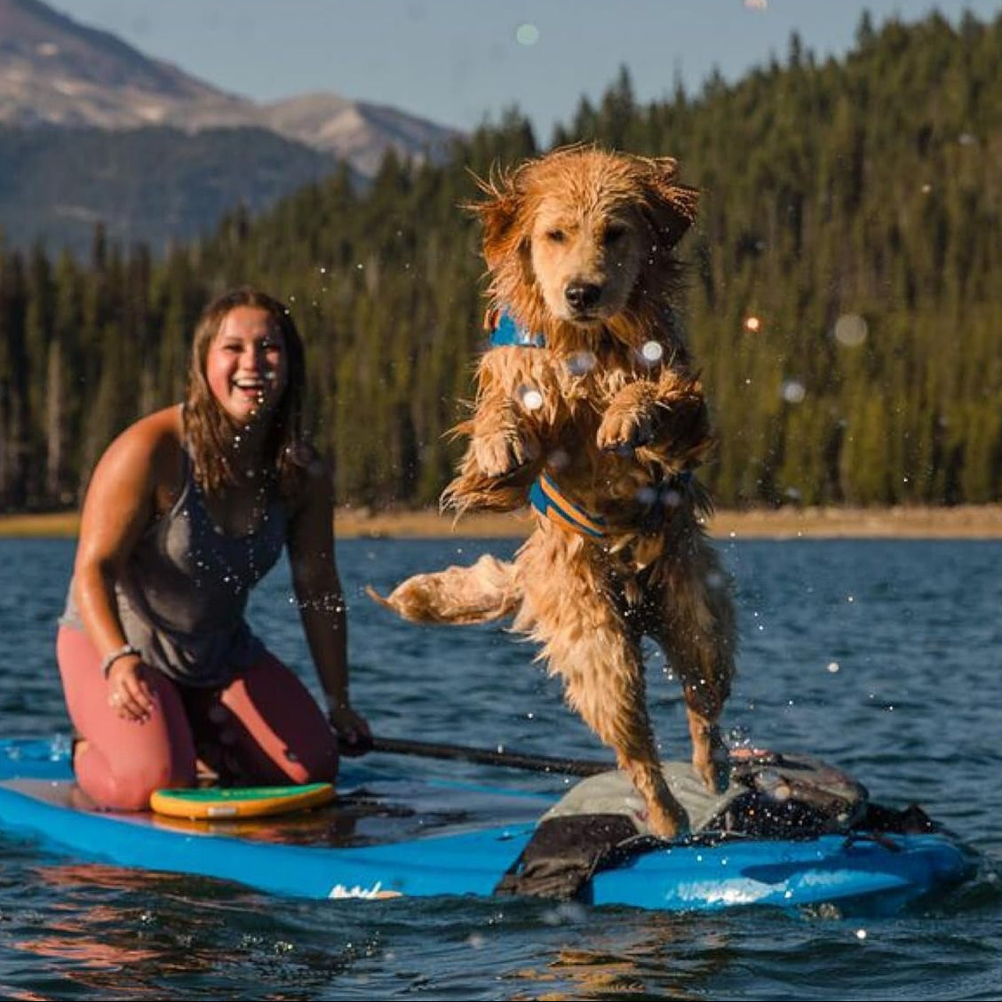 , Float Coat Dog Life Jacket, Premium Buoyancy Swim Vest with Lift Handle, Secure Fit & Reflective Trim, Adjustable Flotation for Swimming, Boating, & Outdoor Adventures, Blue Dusk, X-Small